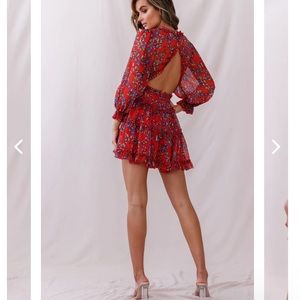 The pictured purple flowers are more of a light purple in person